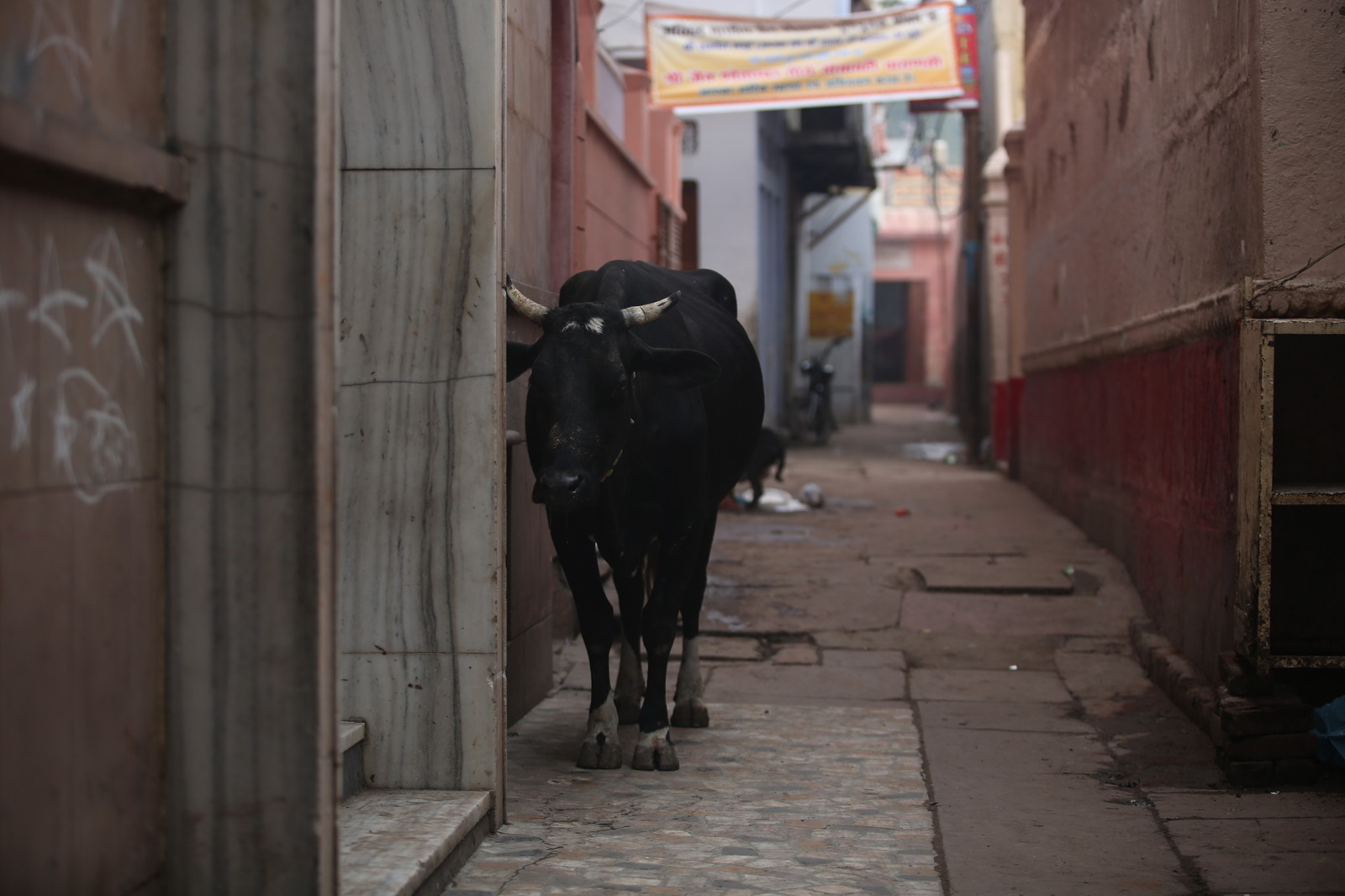 India - Delhi - train - Varanasi - My, India, Travels, Life stories, Travelers, Photo on sneaker, Tourism, League of Travelers, Longpost