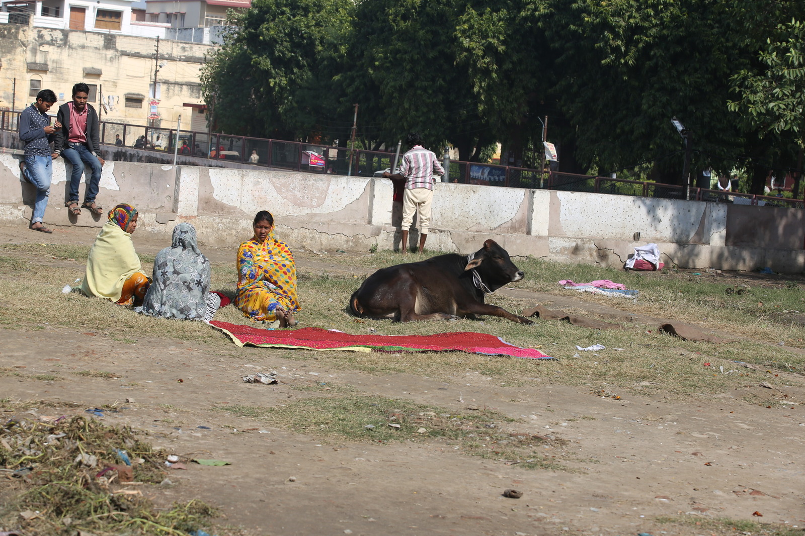 India - Delhi - train - Varanasi - My, India, Travels, Life stories, Travelers, Photo on sneaker, Tourism, League of Travelers, Longpost