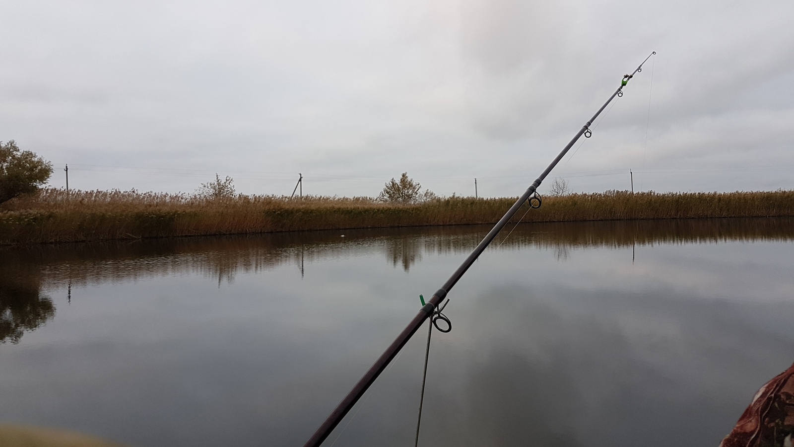 A real wild cat! - My, cat, Fishing, Longpost