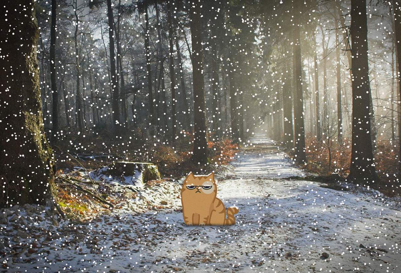 Snowy end of October - My, Snow, October, Stickers, cat, Discontent, Stickers Cat Peach