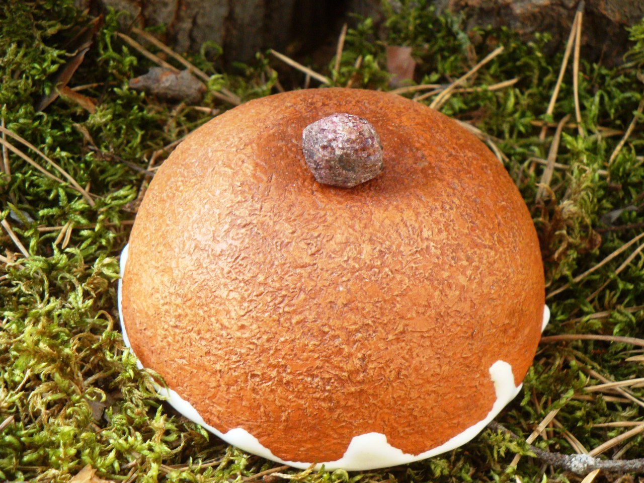 How to make tactile bowls and bowls using natural materials - My, , Ceramics, Longpost