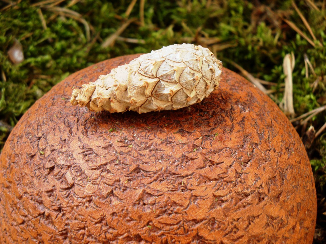 How to make tactile bowls and bowls using natural materials - My, , Ceramics, Longpost