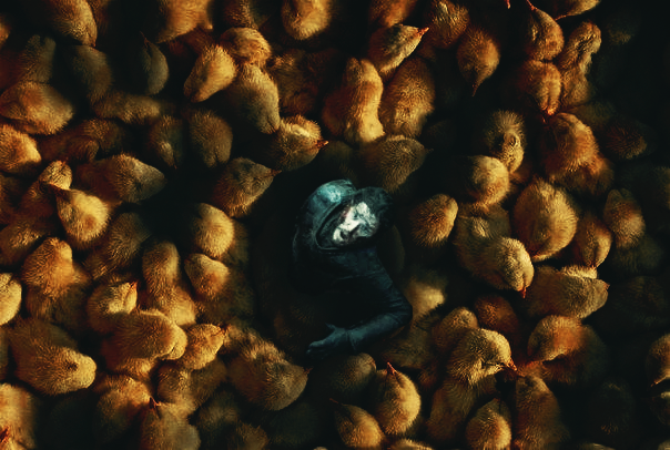 Battle... - Jon Snow, Game of Thrones, My, Battle, Chickens