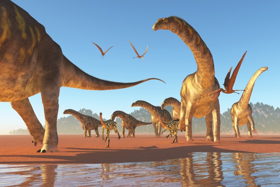 Variety of dinosaurs. - My, Dinosaurs, Paleontology, Sauropods, Diversity, Longpost