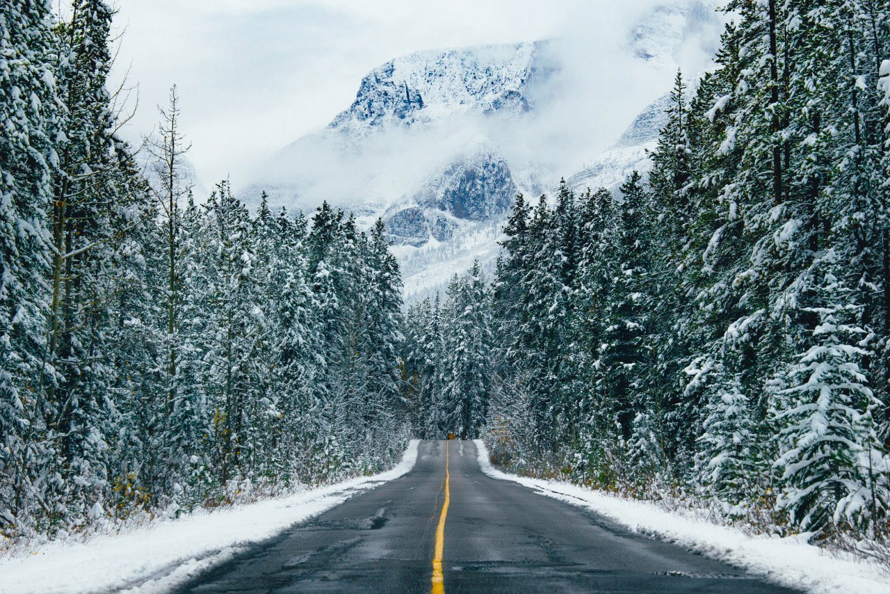 Incredibly atmospheric photos of Banff National Park (Canada) - Photo, , banff, Longpost, Dog