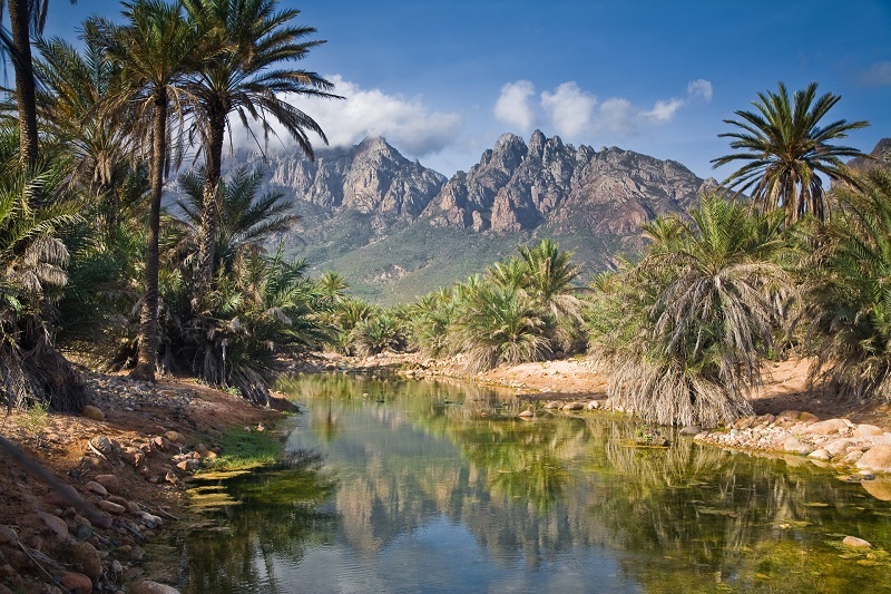 Almost another planet - Socotra, beauty, Dream, Longpost