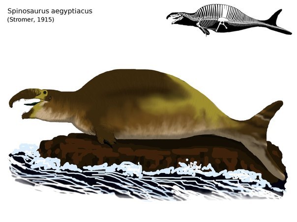 Эволюция внешности спинозавра. - Моё, Динозавры, Палеонтология, Внешность, Спинозавр, Длиннопост