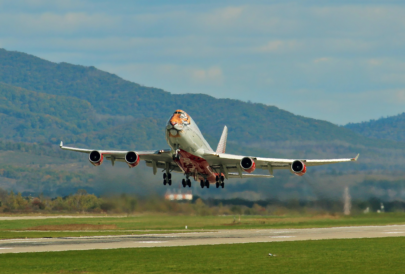 Tigrolet in the sky over Artyom - My, Aviation, The photo, Vladivostok, Tiger, Longpost