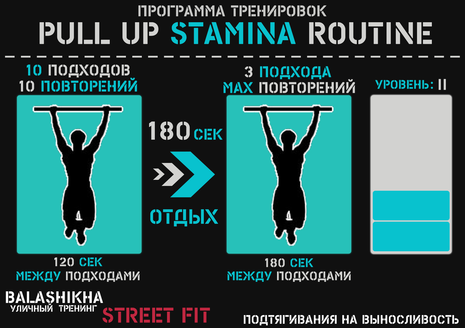 Pull-up programs - My, Pull-ups, Workout, Longpost, Calisthenica, Exercises, Training program, Physical Education