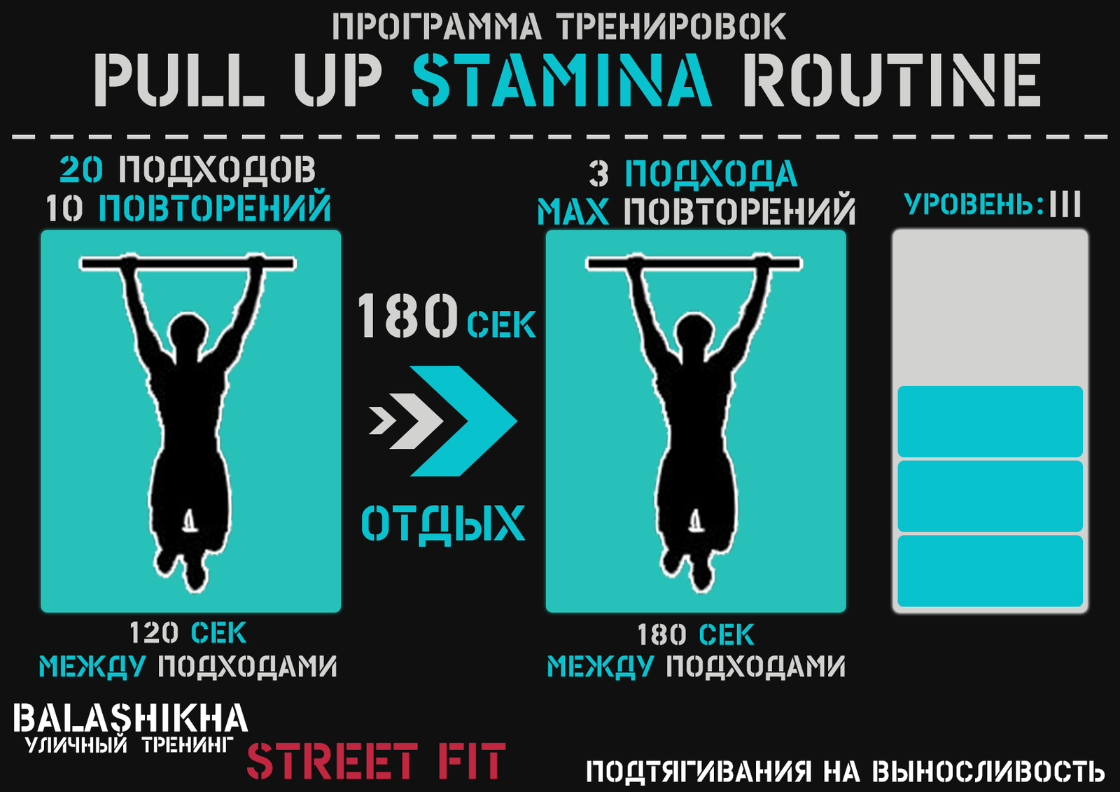 Pull-up programs - My, Pull-ups, Workout, Longpost, Calisthenica, Exercises, Training program, Physical Education