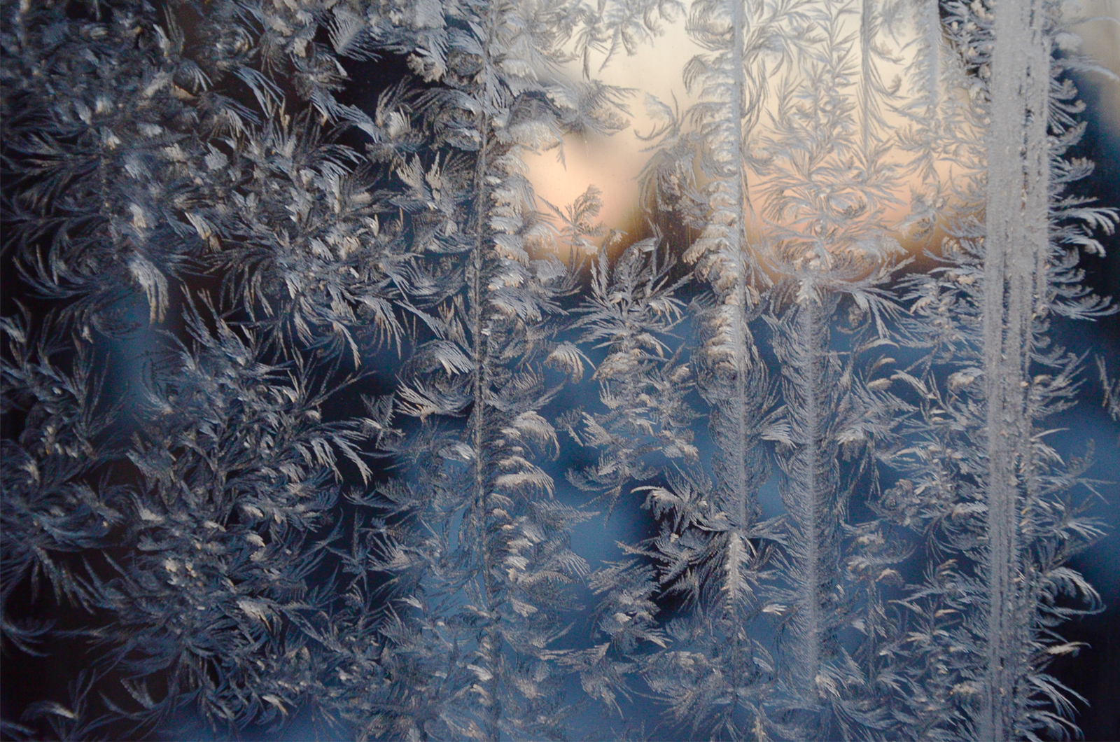 Winter is coming soon - My, The photo, Photo, Winter, Patterns on the window