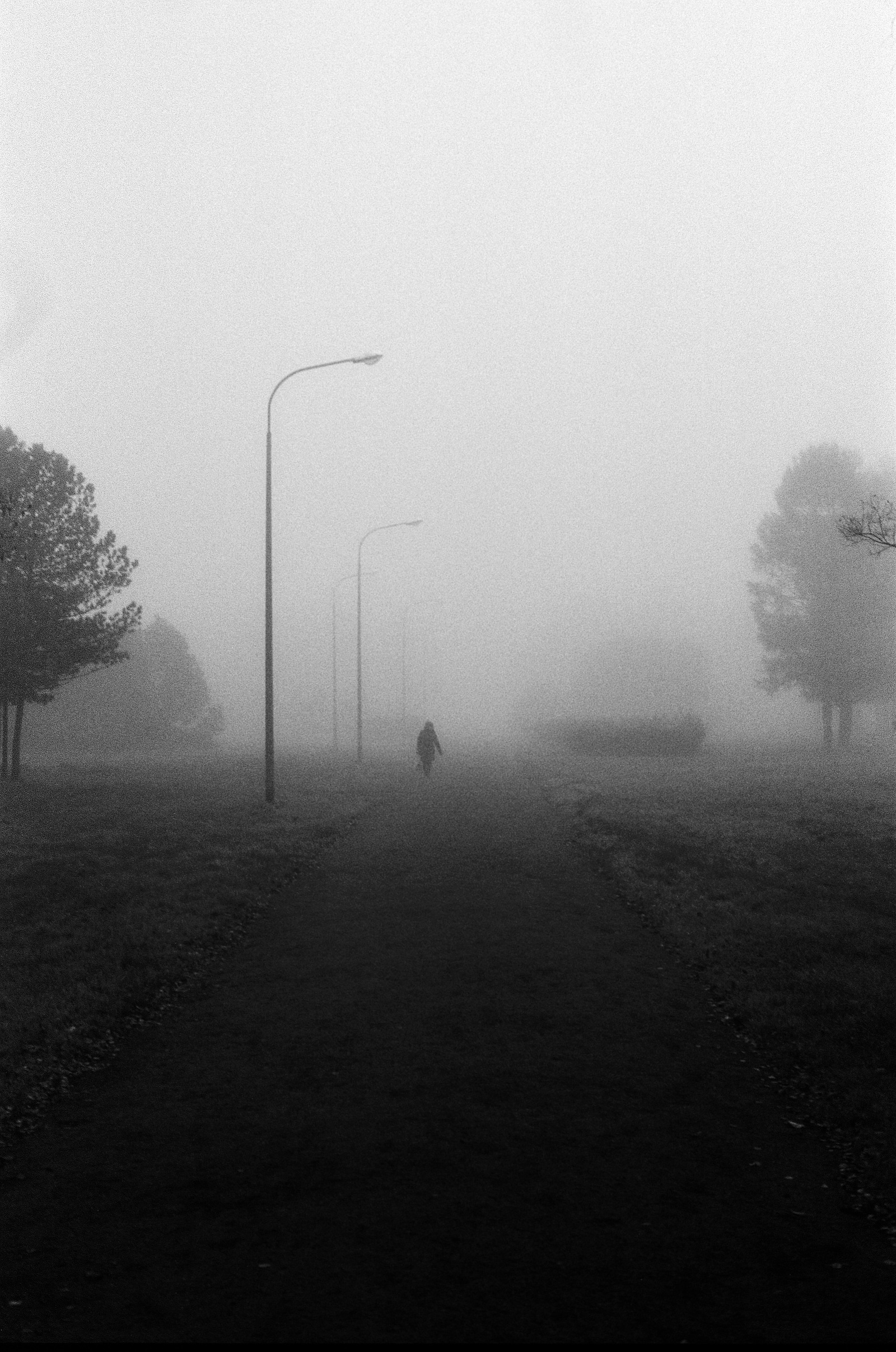 October mist - My, Fog, Saint Petersburg, Leningrad, The photo, Photographer, camera roll, Black and white photo, Longpost