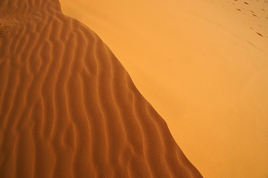 A day at the edge of the desert - One day of life, Photo, Algeria, Sahara, Desert, Travels, Longpost