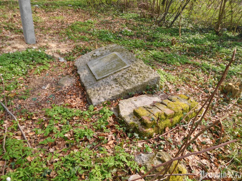 City built on bones - My, Monument, Respect, Russia, Longpost, Kaliningrad, Cemetery, Politics