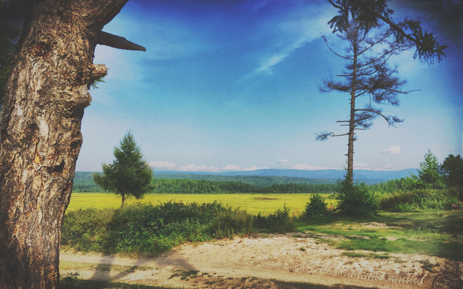 Lake Baikal. - My, Baikal, , Summer, Russia, Nature, Photo, The photo, Longpost