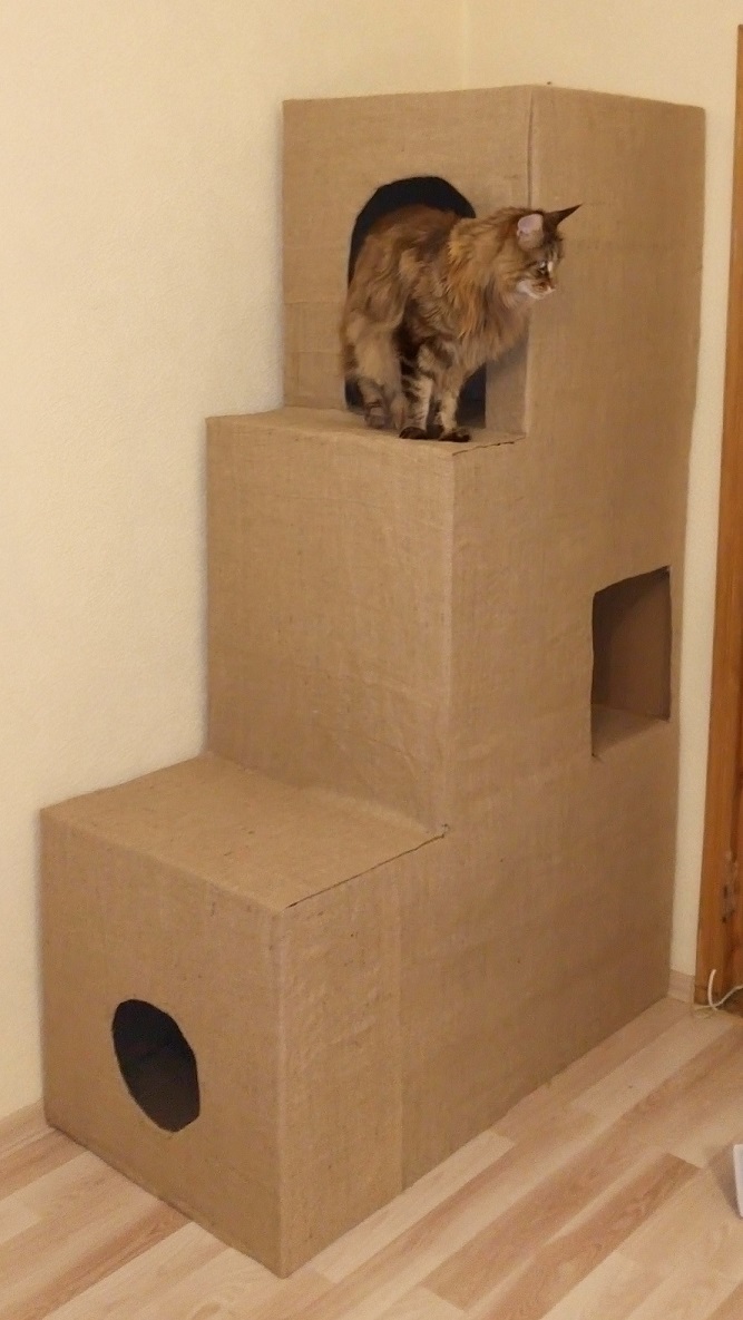 Домик для котят своими руками из коробки