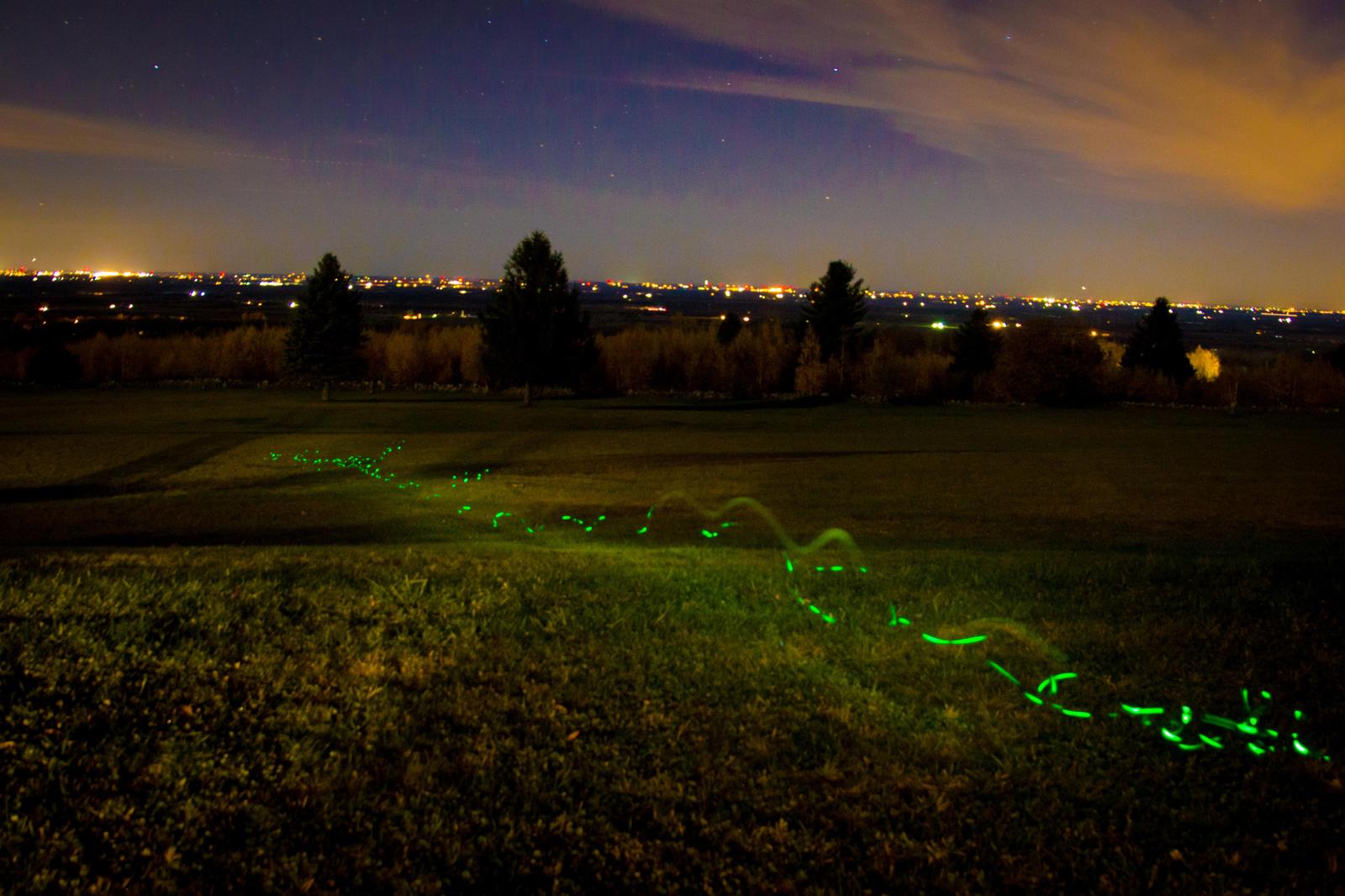 Long exposure puppy with glowing collar - Puppies, The photo, Collar