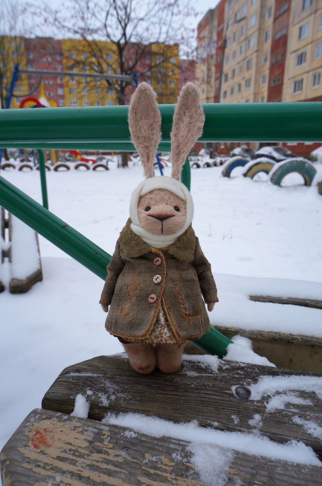 Hares, winter, walk - Photo, Hare, Walk, Winter, Longpost