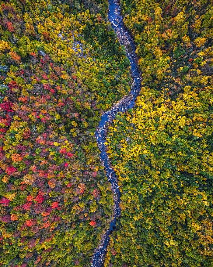 Incredibly beautiful trees of different shades. - Autumn, Palette, Travels, Photo, , Longpost