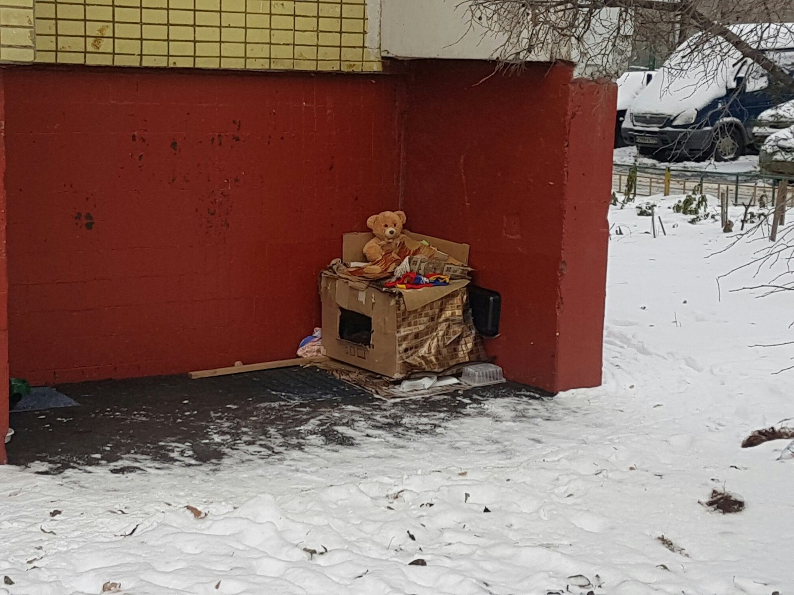 Affordable housing. - My, Affordable Housing, cat house, Gratifying, Moved out of my parents