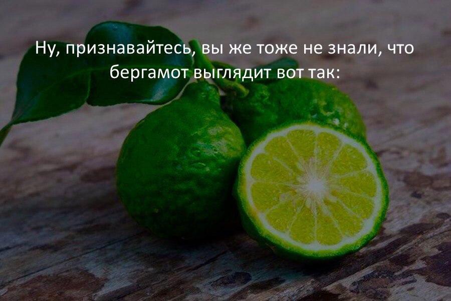 Кто бы мог подумать, что бергамот выглядит так... | Пикабу