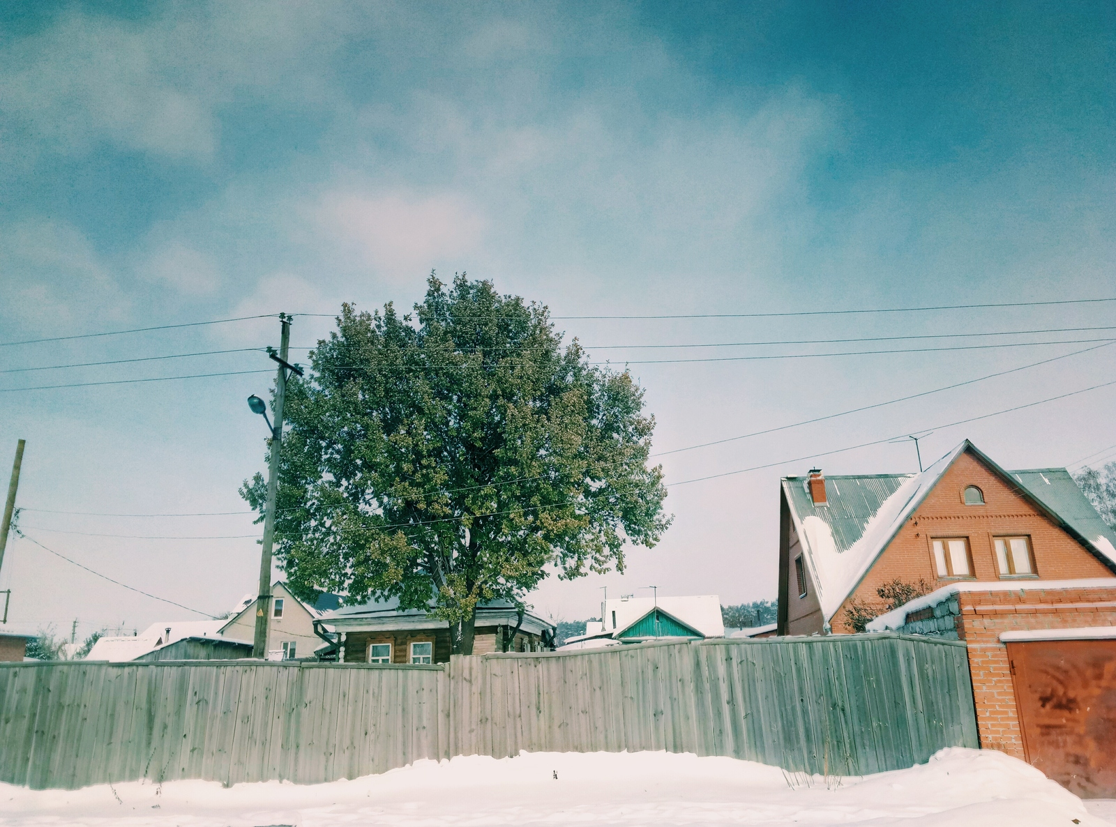 Winter in Novosibirsk - My, Winter, Tree