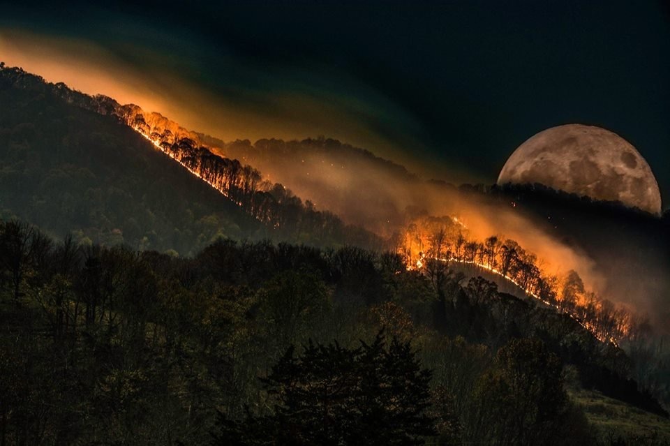 Supermoon - moon, Stars, Forest, Fire, Stars