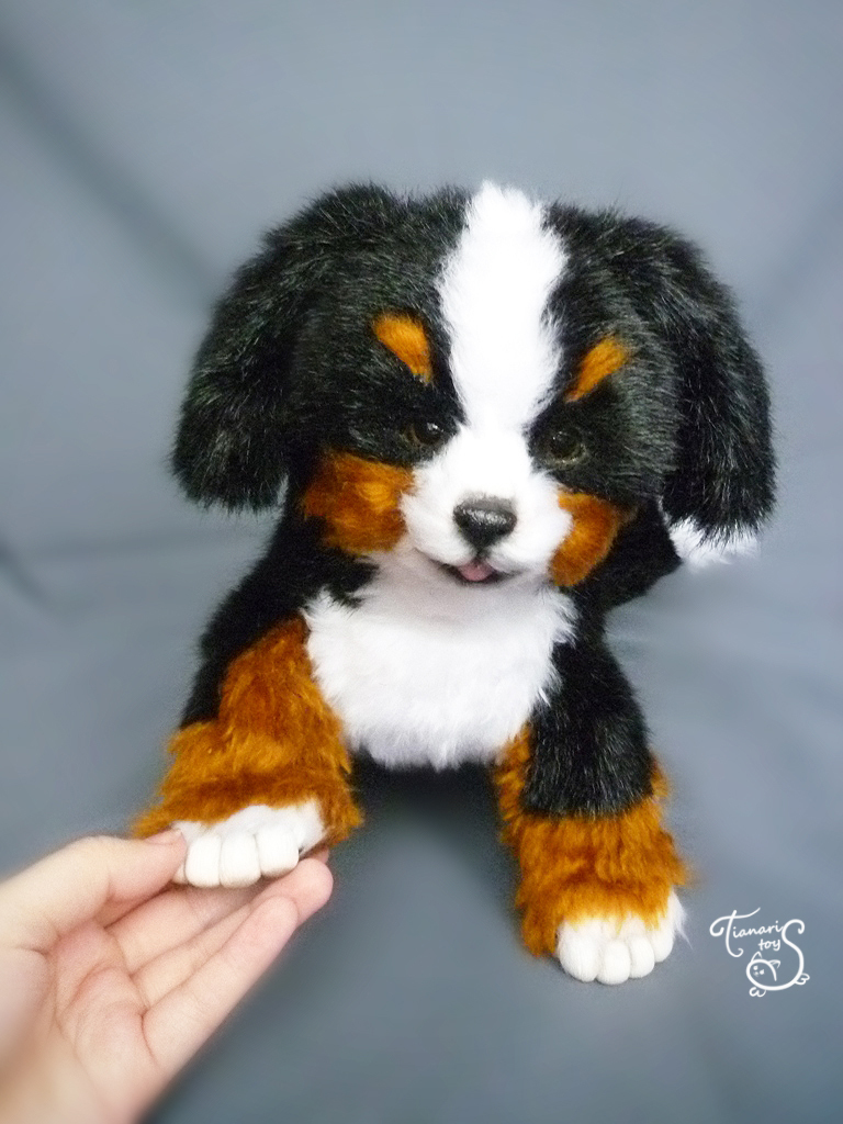 Bernese mountain dog puppy - My, Author's toy, Puppies, Dog, Needlework, With your own hands, Longpost