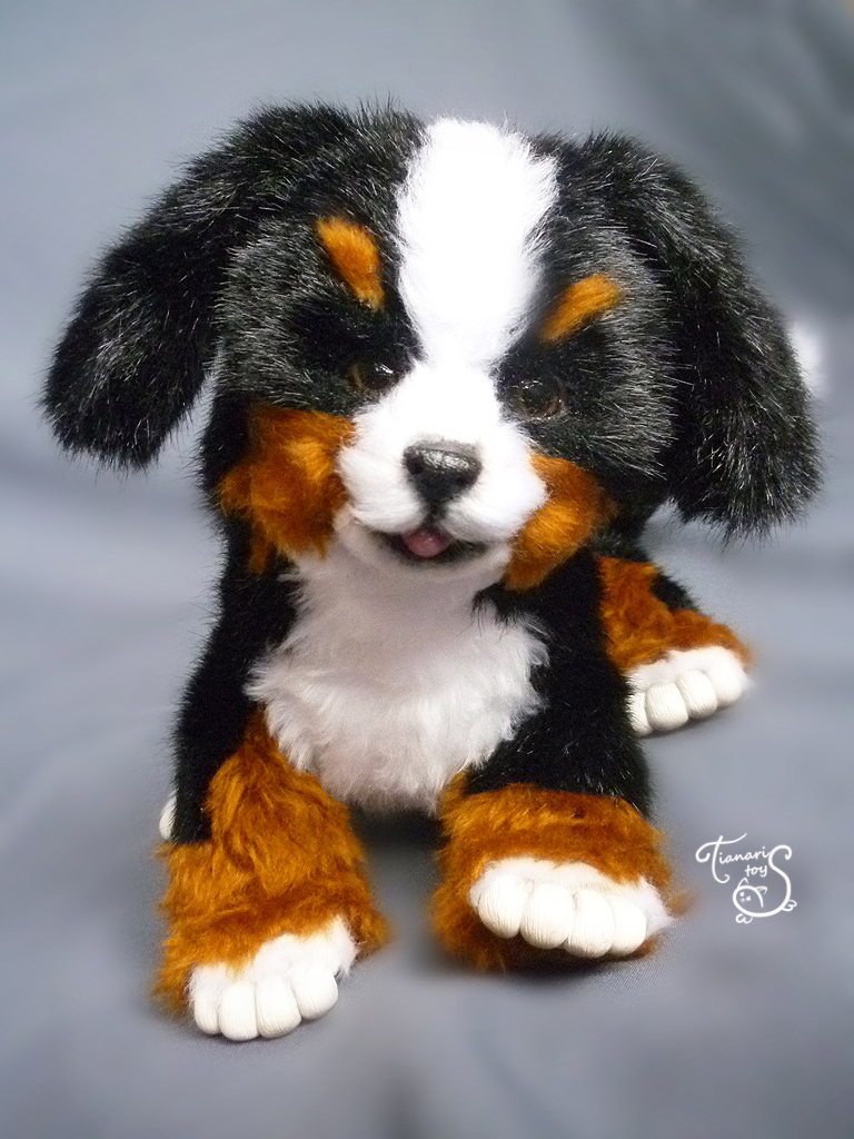 Bernese mountain dog puppy - My, Author's toy, Puppies, Dog, Needlework, With your own hands, Longpost