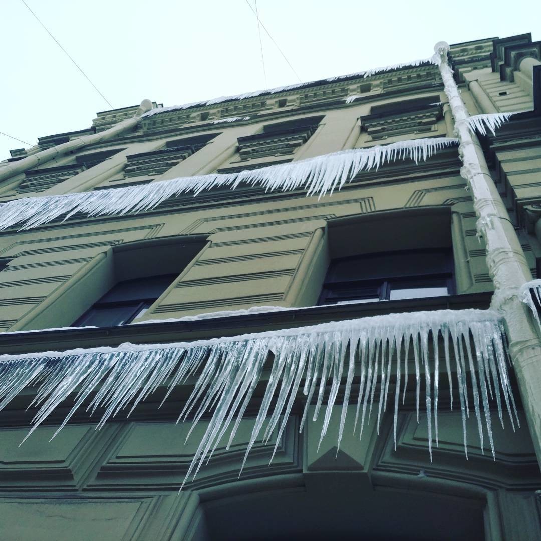 Petersburg succulents - Saint Petersburg, Icicles, Longpost