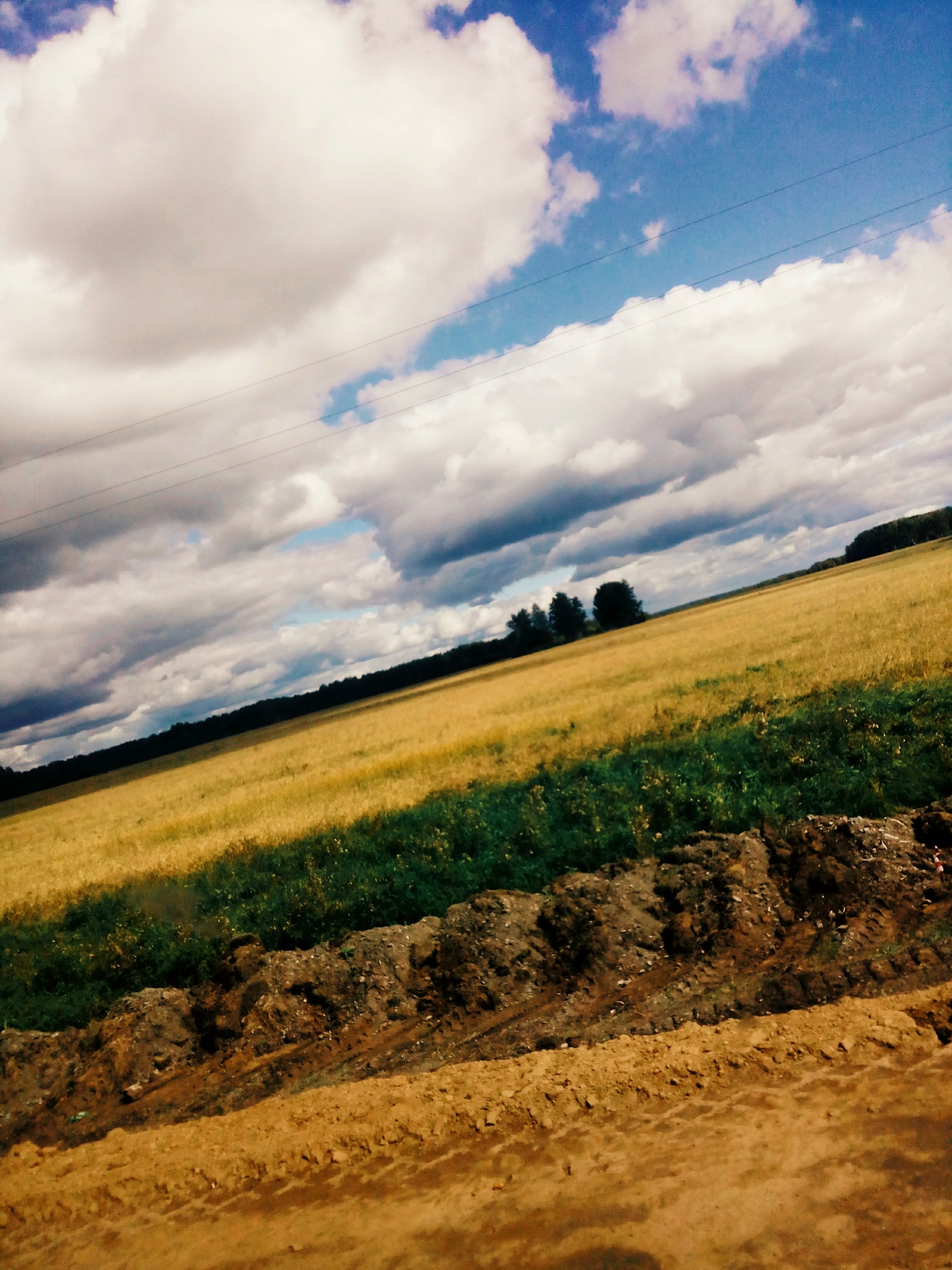 Russia, Altai. - My, Altai, Russia, Field, Nature, Photo, Hitch-hiking, Altai Republic