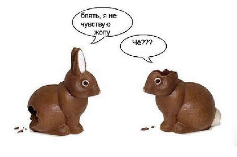 What do we know about the problems - Rabbit, Chocolate