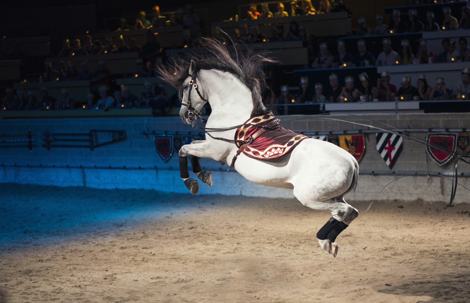 In flight - My, Horses, Bounce, Flight