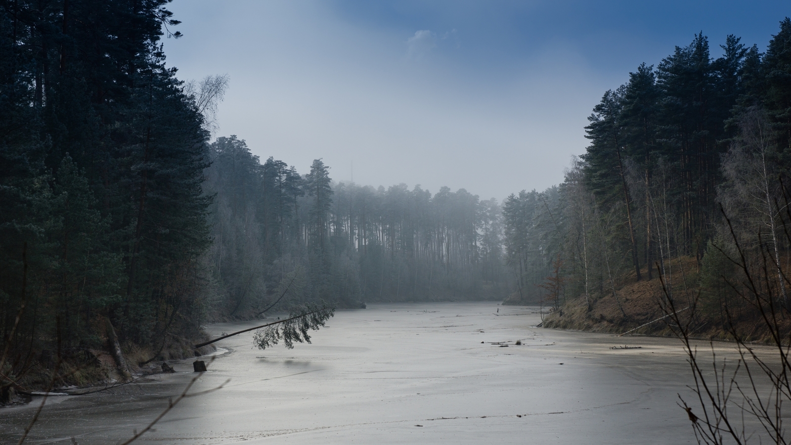 Varlamovka, Zavolzhye - My, Chuvashia, Zavolzhye, Cheboksary, Forest, Pine, Winter, Spring, Landscape, Longpost