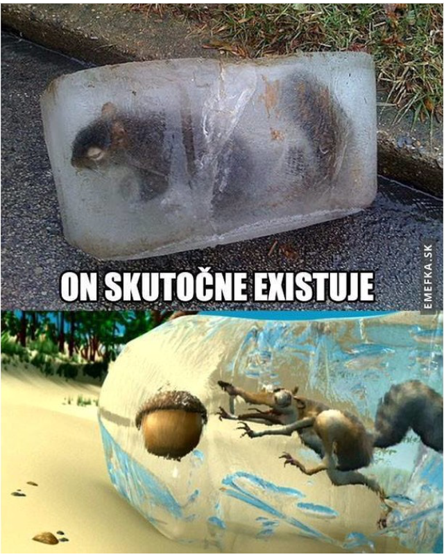 He actually exists! - Squirrel, ice Age, Scratch, Real