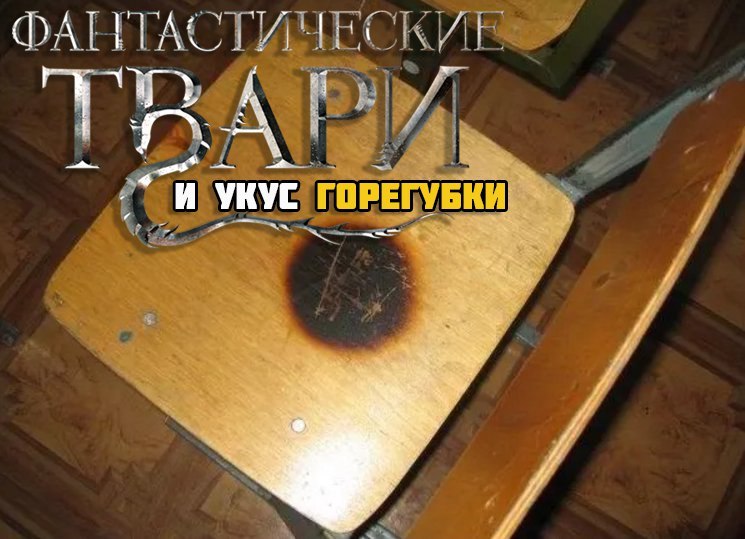 Пригорело от Горегубки - Фантастические твари и где они обитают, Гарри Поттер, Пукан, Бомбануло