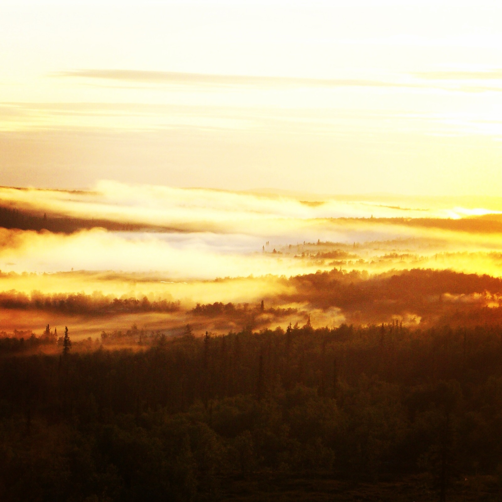 Beauty of Severomorsk - My, Photo, beauty, Severomorsk, , Service, Tundra, Longpost, White Nights