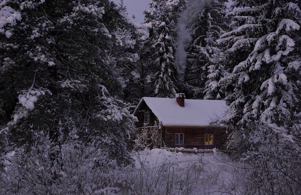 Фото Домика В Лесу Зимой