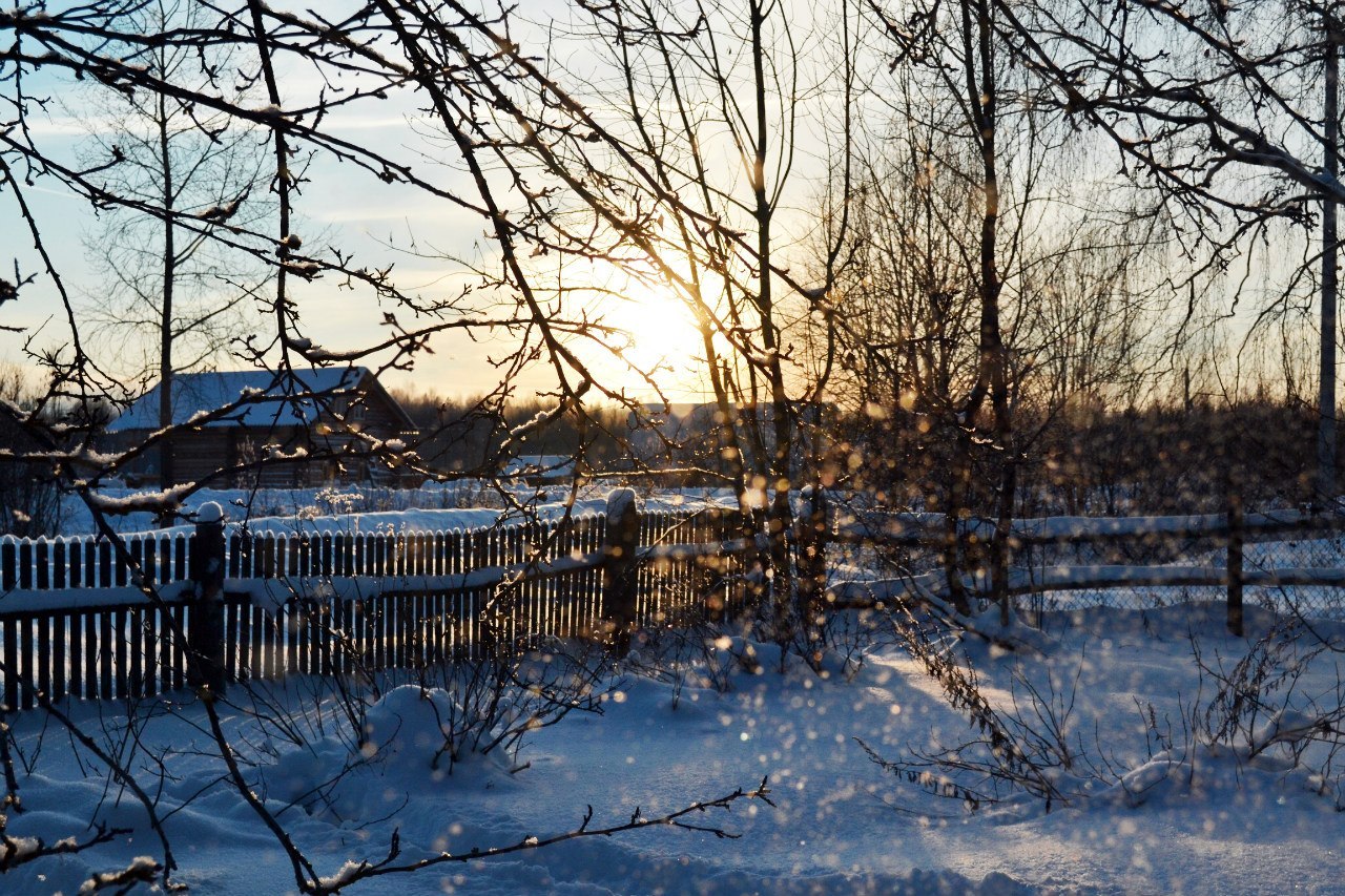 At the end of the day - My, Winter, Evening, Photo