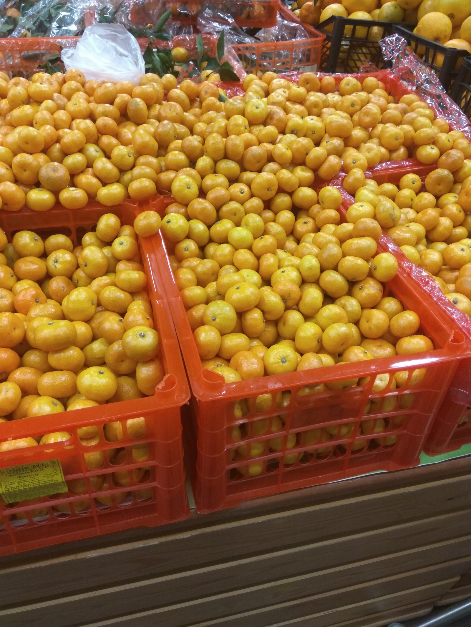 New Year's seeds - Tangerines, China, Longpost