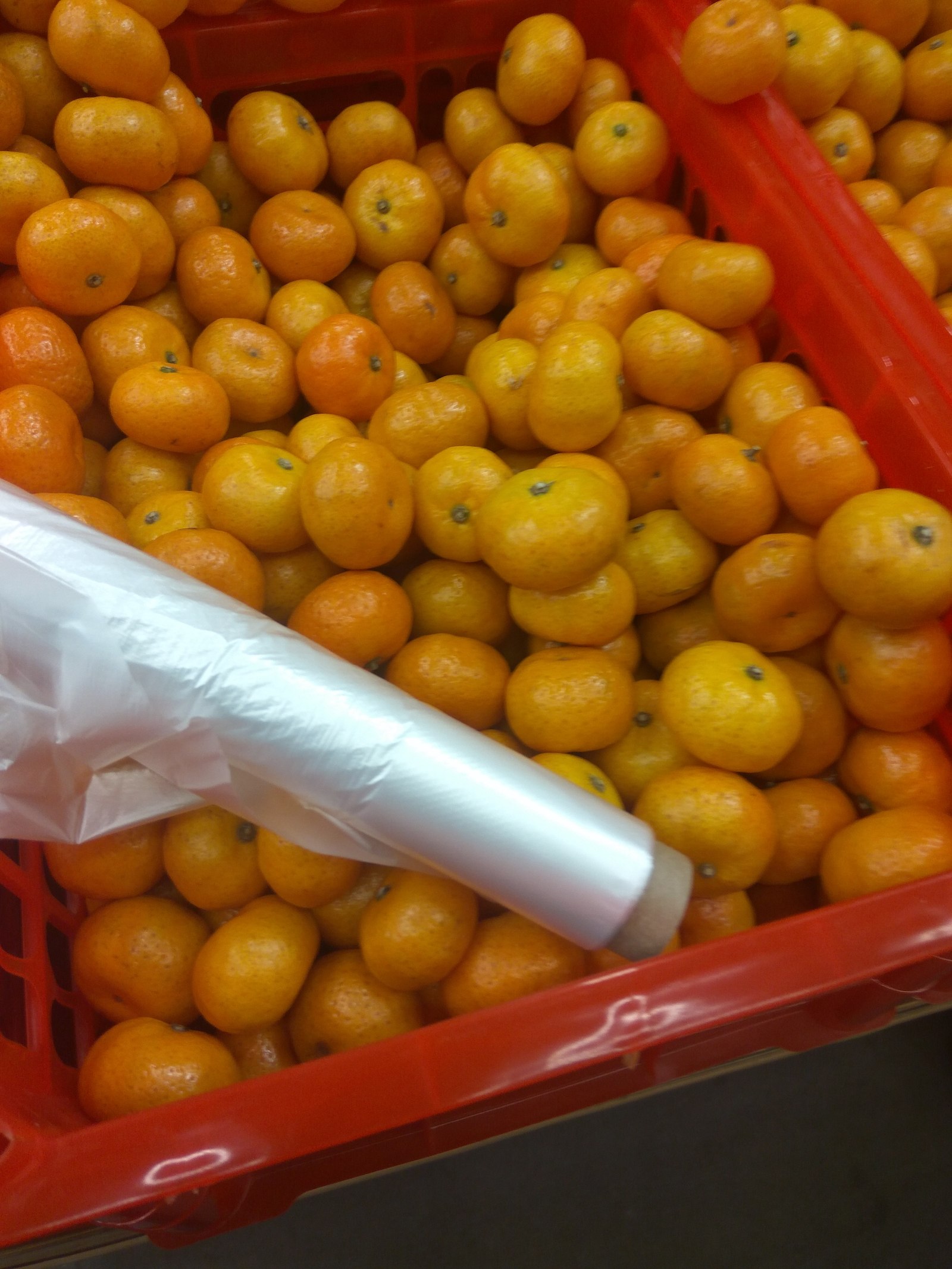 New Year's seeds - Tangerines, China, Longpost