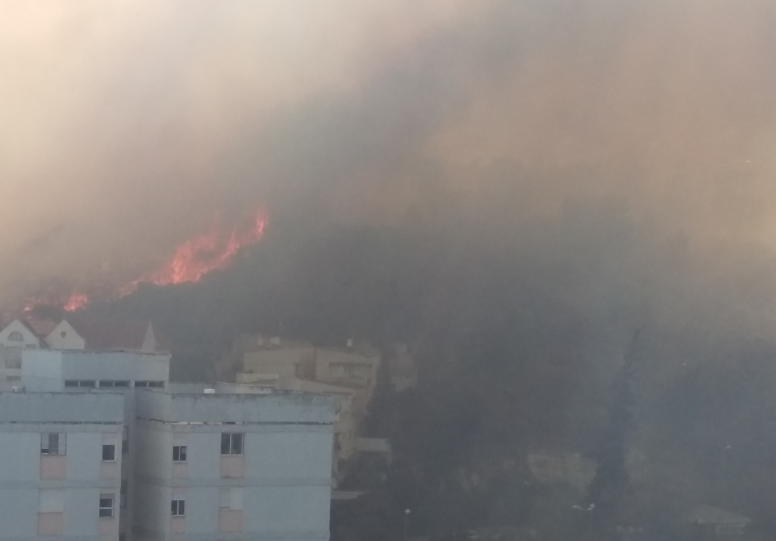 A fire in Haifa, Israel, through the eyes of an eyewitness. - My, Fire, Haifa, Longpost