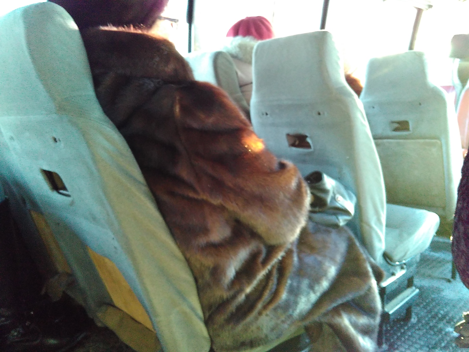 In the minibus - My, Minibus, Seat, Transport