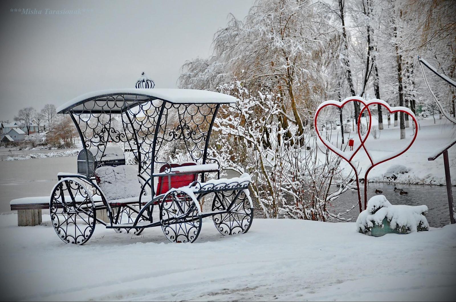 Зимнее безмолвие - Фото, Республика Беларусь, Ковка