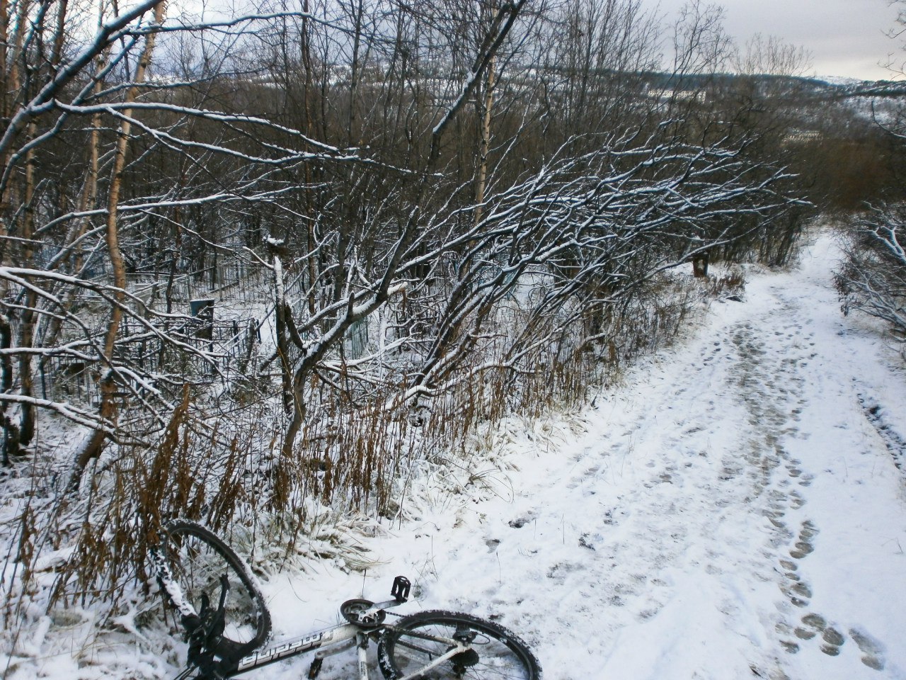 Rides in the north - My, A bike, Photo, Longpost