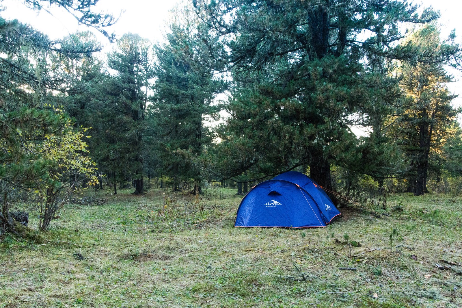 How I lived in the taiga - My, Taiga, Mountain Altai, Nature, Photo, Relaxation, Longpost, Altai Republic