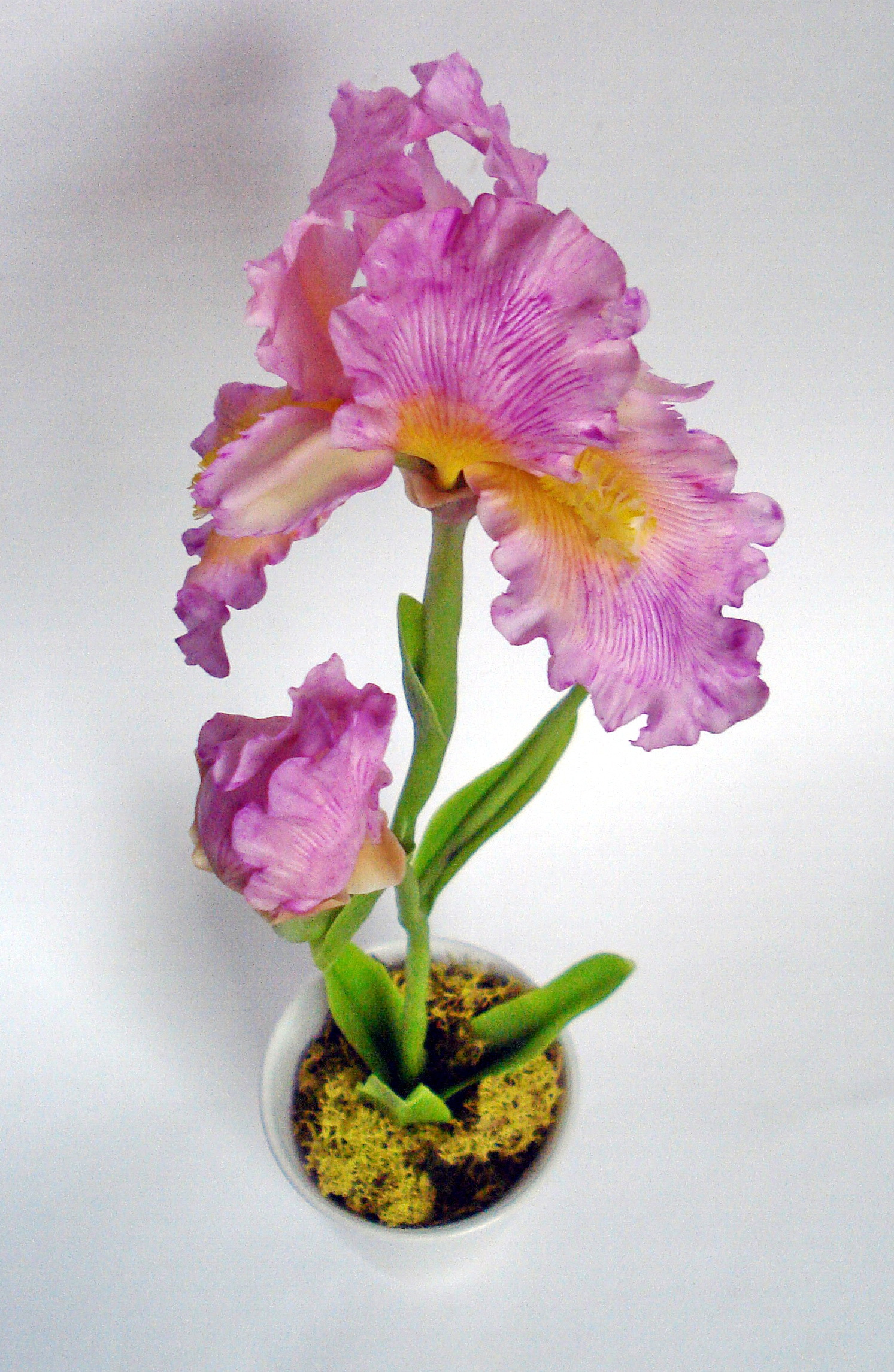 Iris - My, Polymer clay, Лепка, Polymer floristry, Irises, Longpost