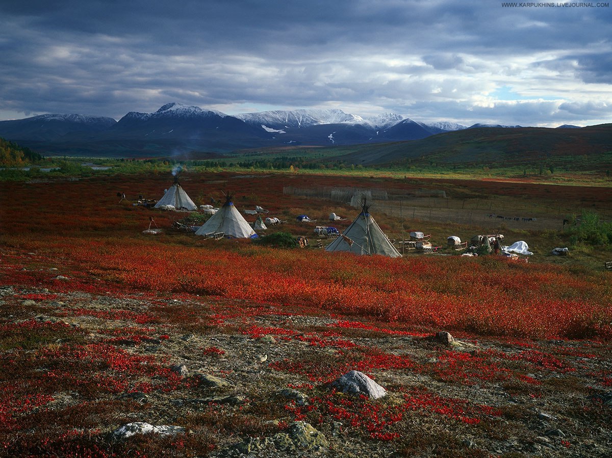 Polar Urals - Russia, Sob, , Photo, Polar Urals, Nature, Landscape, Autumn, Longpost