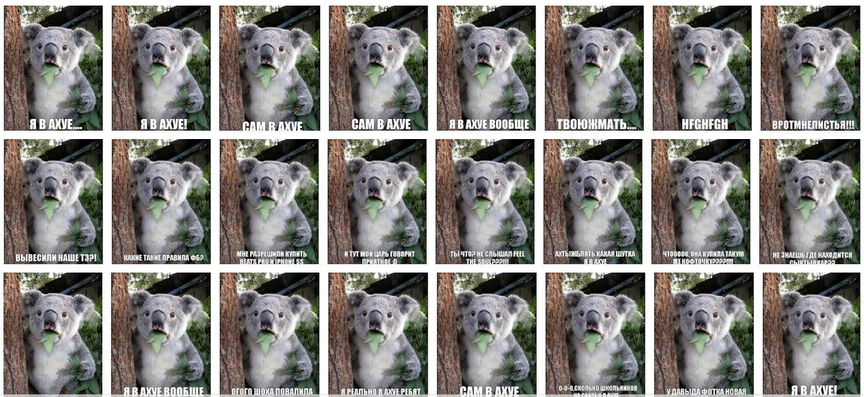 Accidentally discovered that - - Koala, Google, Images, Mat