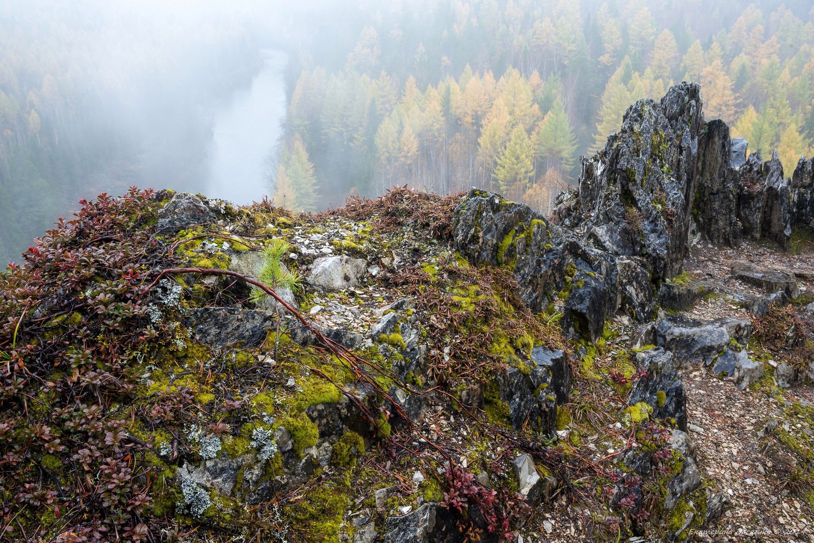 Ивдельский лес - Ивдельский лес, Северный Урал, Россия, Фото, Природа, Пейзаж, Осень, Сентябрь, Длиннопост